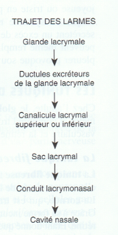 Trajet